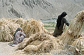 Ladakh - country life 